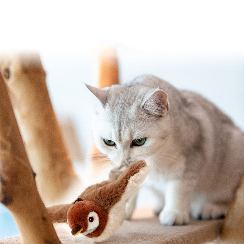 Interactive Cat Toy